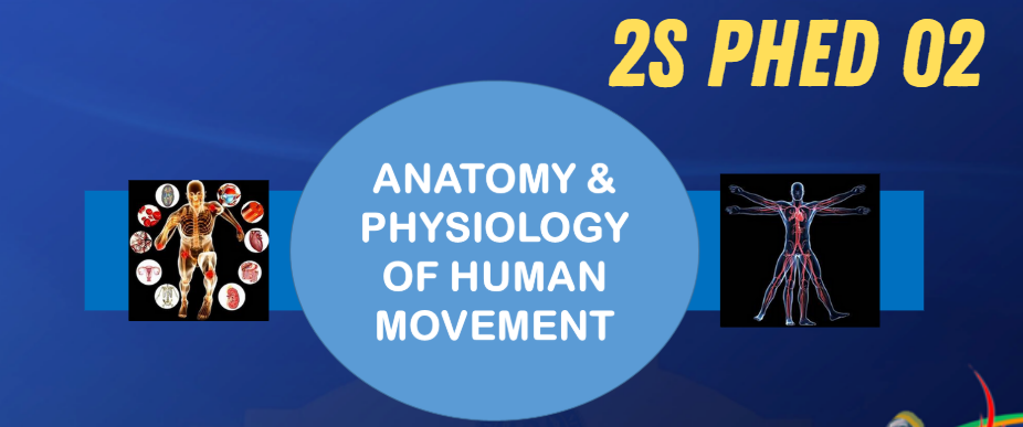 ANATOMY AND PHYSIOLOGY OF HUMAN MOVEMENT - BPHE-CD 2-OV II-BPHE 2S-PHED02 (M/TH 07:30AM-09:30AM/07:30AM-09:30AM)